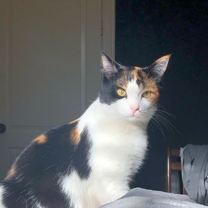 Meet your Posher, Crystal